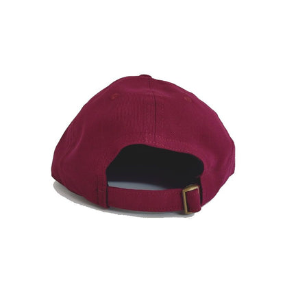 COOPERSTOWN BALL CAP / 1903 SPOKANE INDIANS / BRUSHED COTTON TWILL / SOFT VISOR / D-RING / 4COLOR / EXCLUSIVE / MADE IN USA