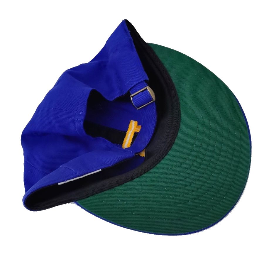 COOPERSTOWN BALL CAP / 1952 BIRMINGHAM BIRC / BRUSHED COTTON TWILL / SOFT VISOR / D-RING / ROYAL / MADE IN USA