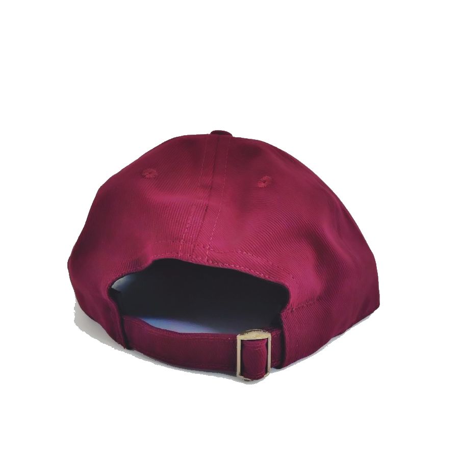 COOPERSTOWN BALL CAP / 1925 TUFTS UNIVERSITY / BRUSHED COTTON TWILL / SOFT VISOR / D-RING / 3COLOR / MADE IN USA